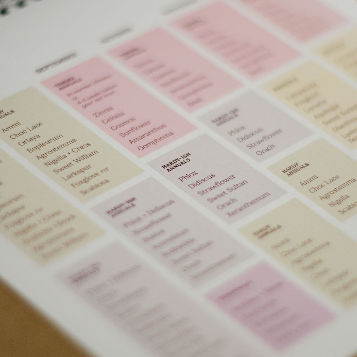 2025 CALENDAR