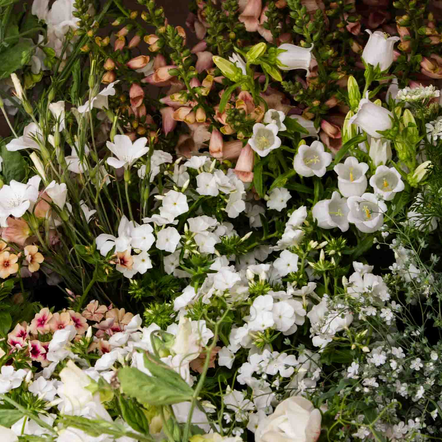 GROW Flowers for Event Florists -- Sunday 11 August 2024