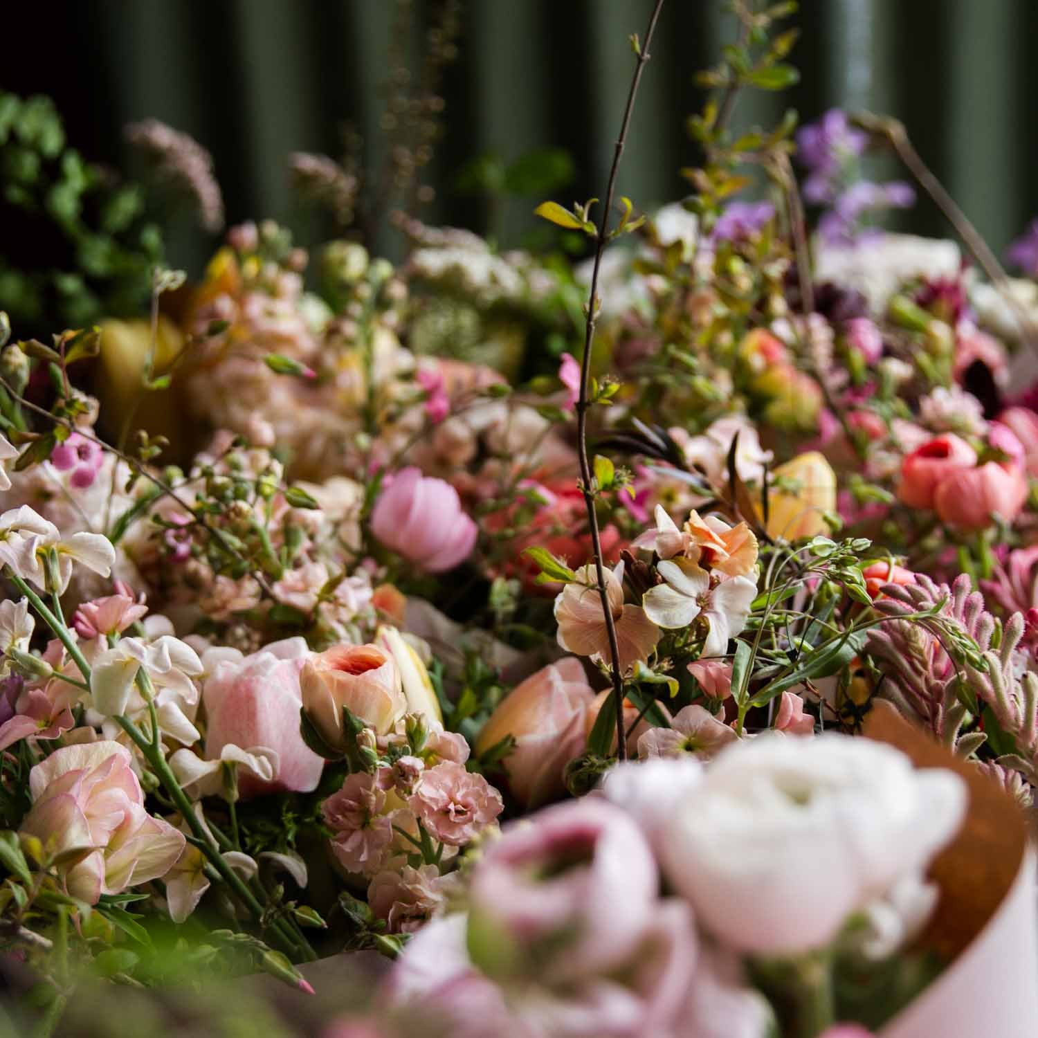 MASTERING: Spring Flowers -- Saturday 20 Janurary