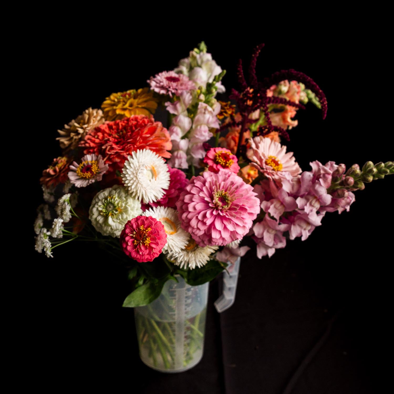Pick Your Own Flowers
