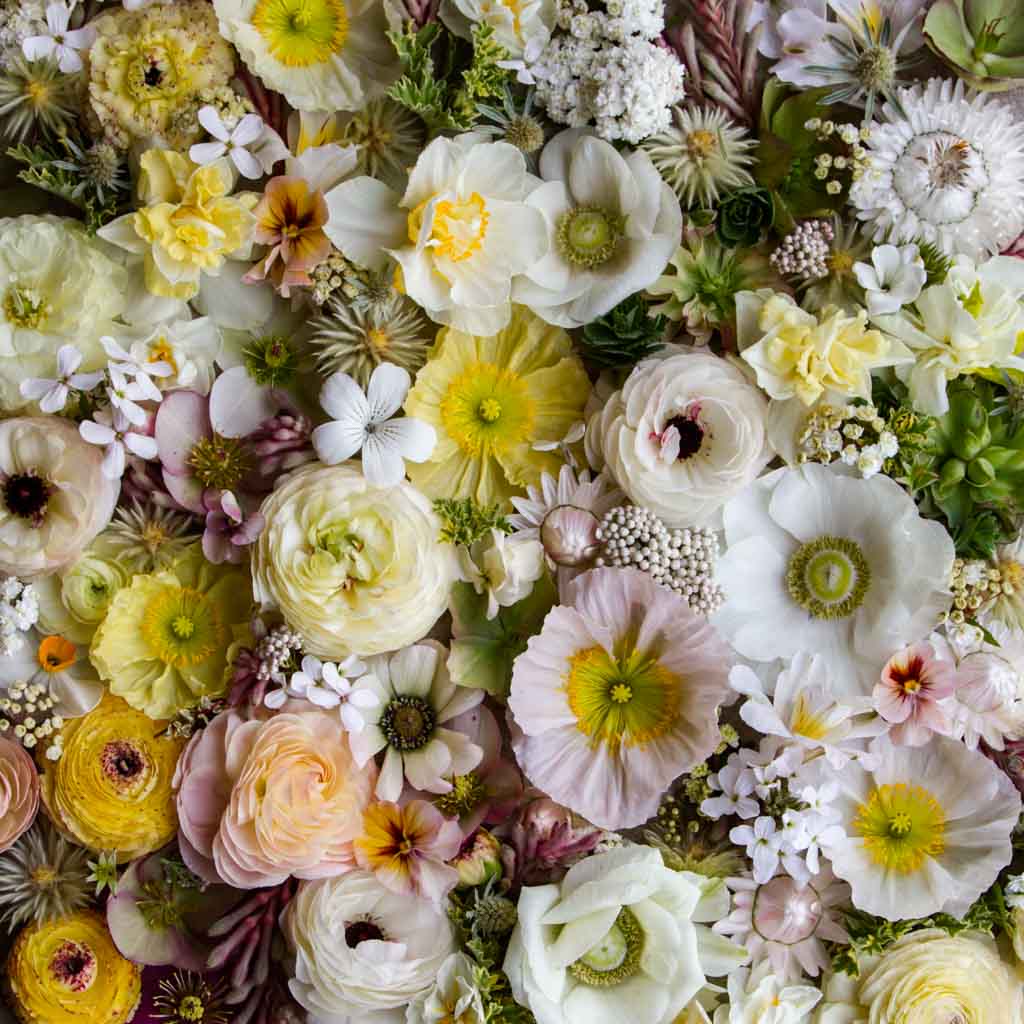 SPRING MUSE: Flatlay -- Saturday 30 September