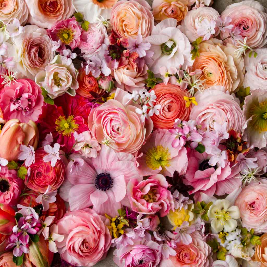 SPRING MUSE: Flatlay -- Saturday 30 September