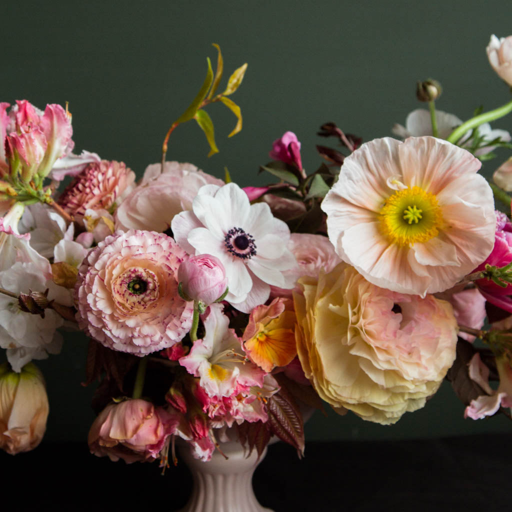 SPRING MUSE: Compote -- Saturday 23 September