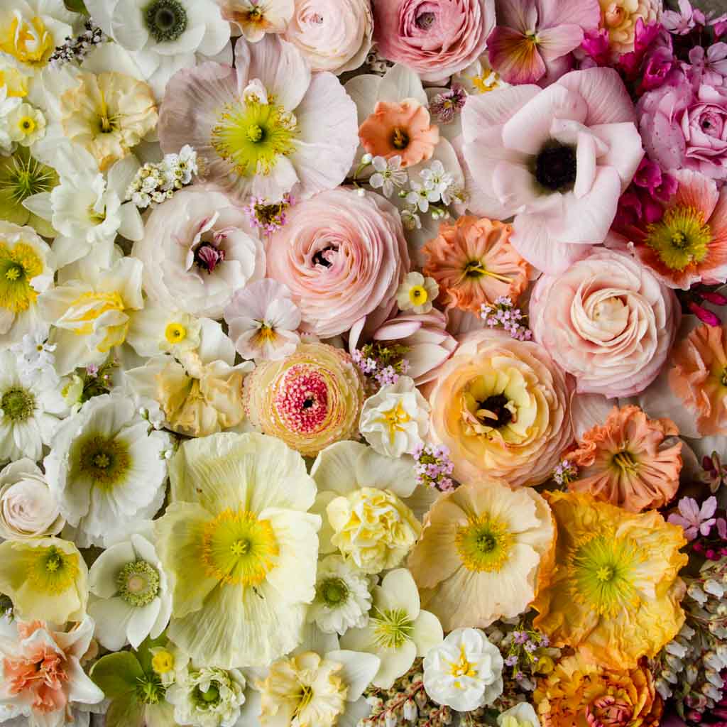 SPRING MUSE: Flatlay -- Saturday 30 September