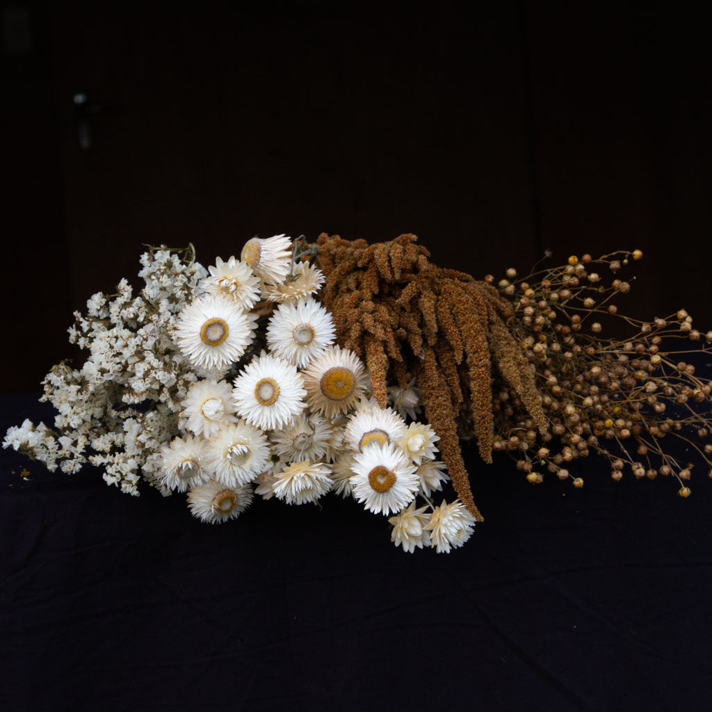 Dried Flowers - Naturals