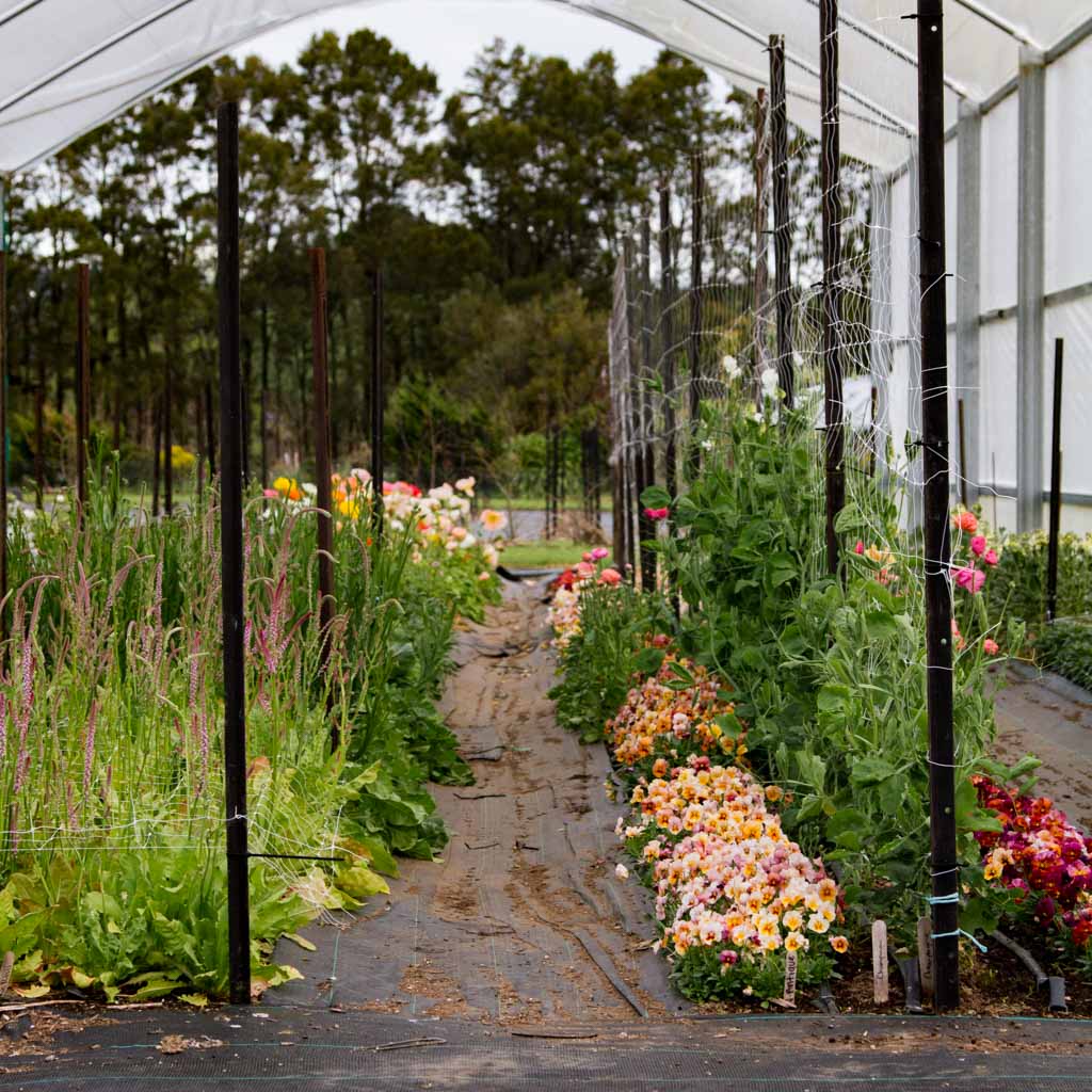 SPRING Farm Tour