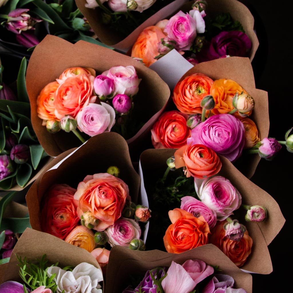 Ranunculus - PICK UP