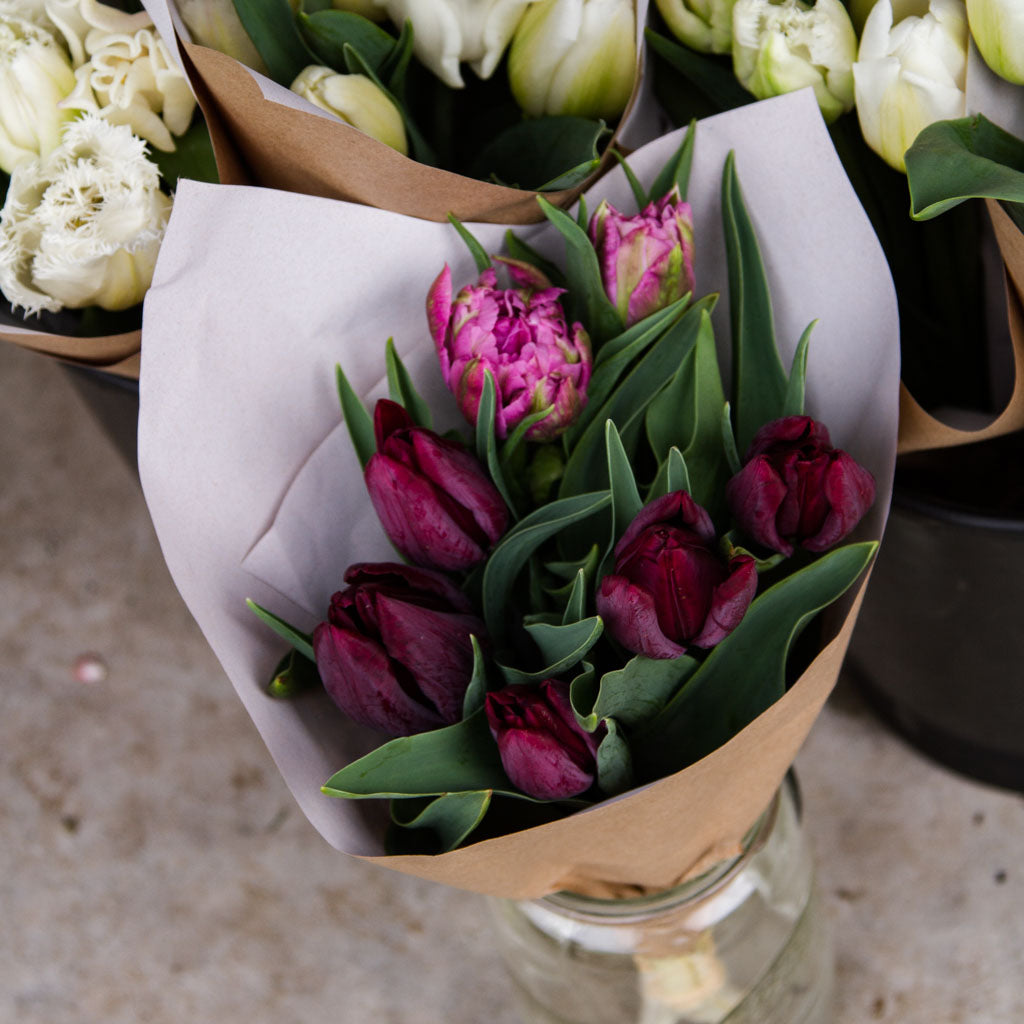 Tulips