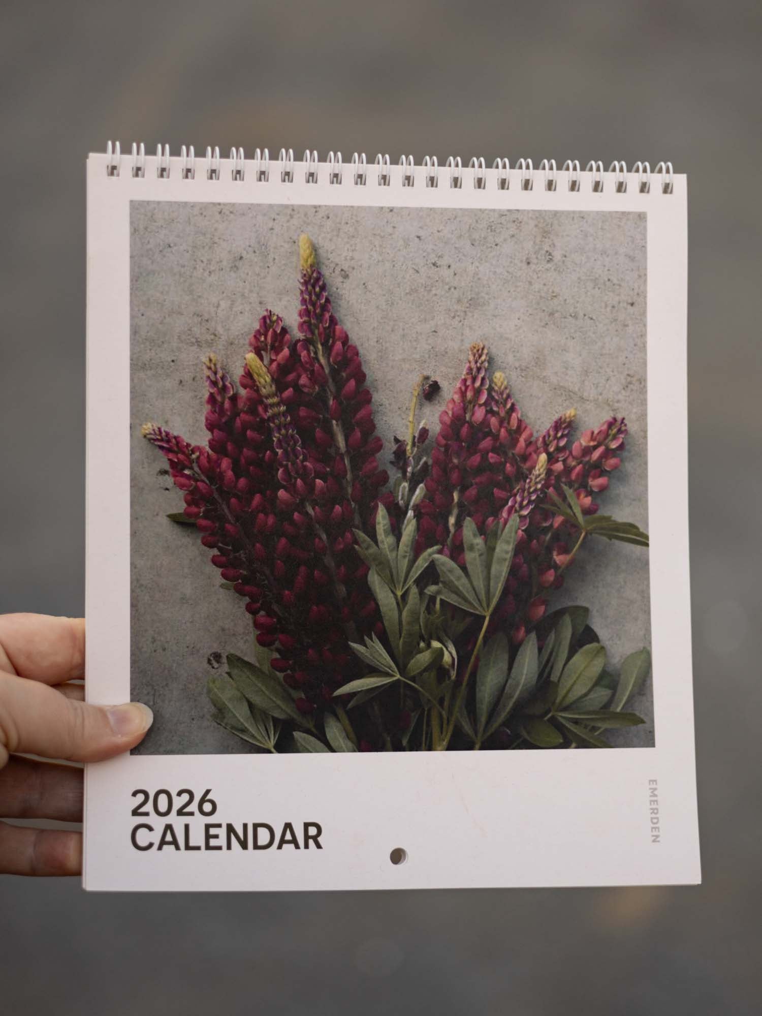 2026 CALENDAR