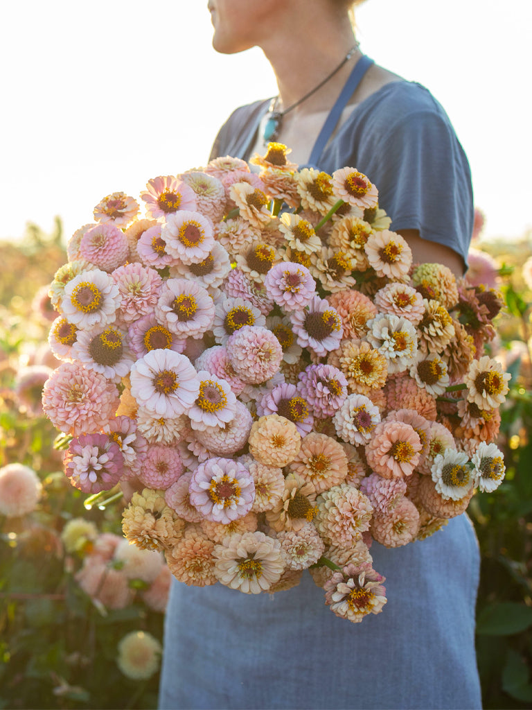 ZINNIA - Little Flower Girl